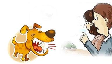 打死伤人恶犬遭刑拘 是人不如狗还是于法有据?